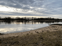 Strand an der Elbe