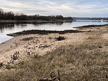 Strand an der Elbe