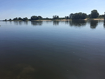 Strand an der Elbe